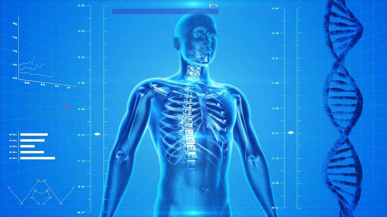 Les métiers de la Santé